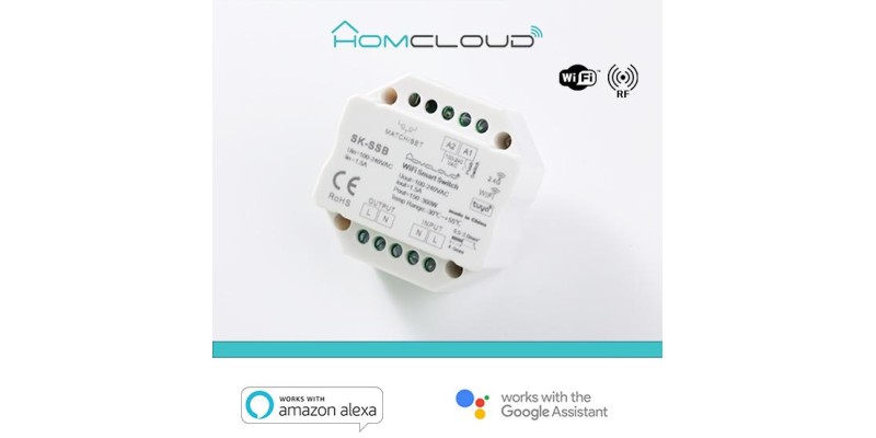 Modulo Smart Pulsante 220V AC 1CHx1.5A Wi-Fi+RF 2.4G